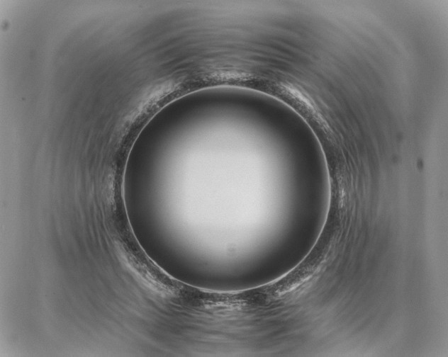 X0000086790447200704131244