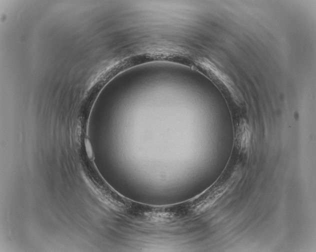 X0000086790448200704131244