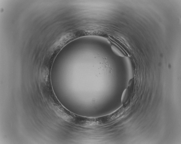X0000086790458200704131244