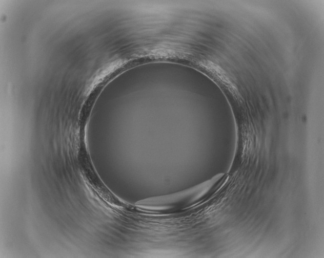 X0000086790488200704131244