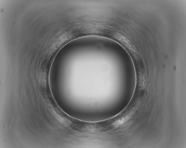 X0000086790489200704131244