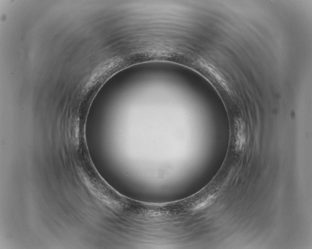 X0000086790494200704131244