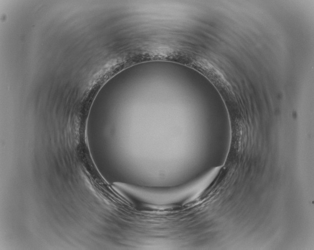 X0000086790496200704131244
