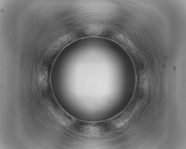 X0000086790498200704131244