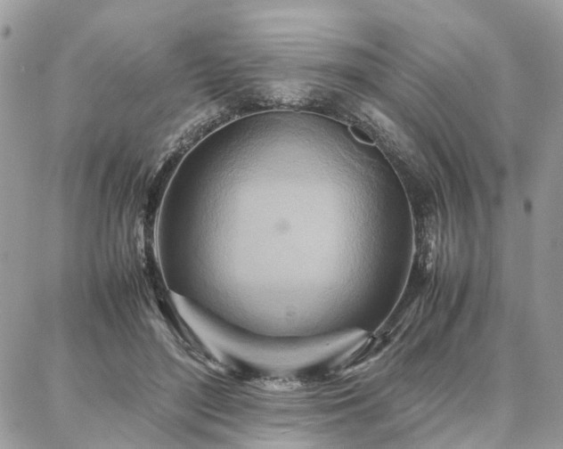 X0000086790500200704131244