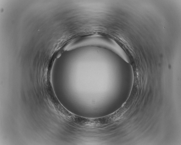 X0000086790504200704131243