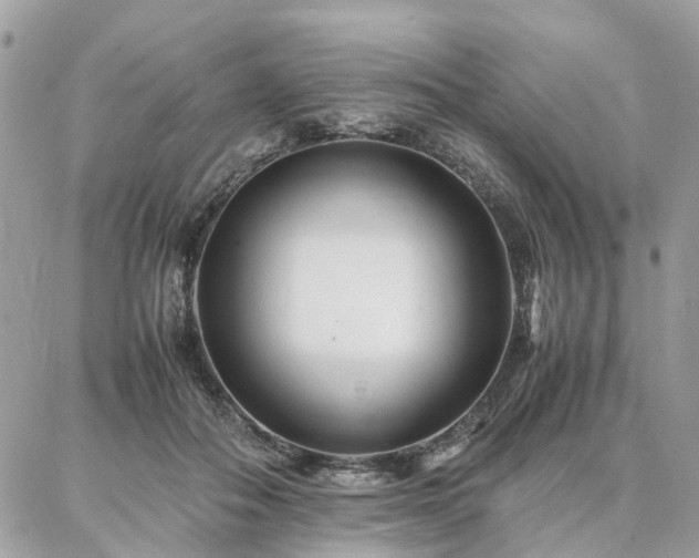 X0000086790506200704131243