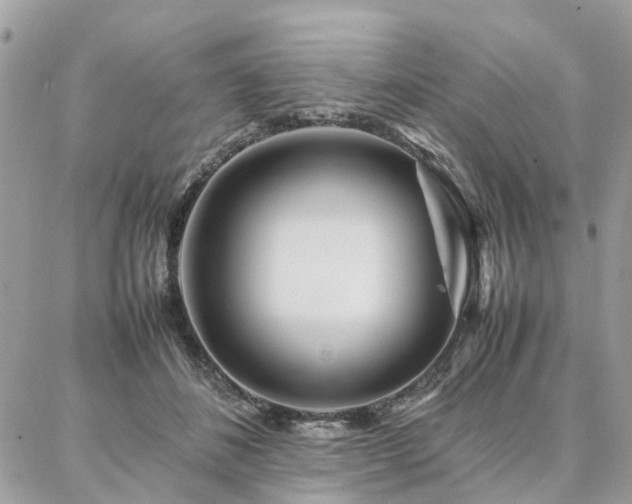 X0000086790508200704131243