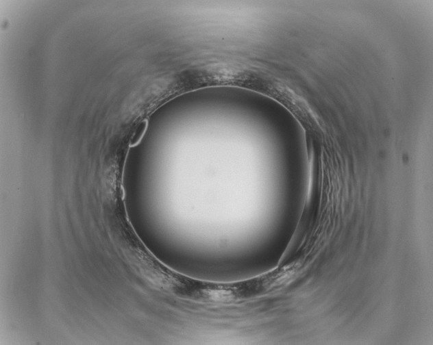 X0000086790509200704131243