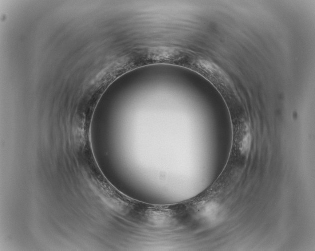 X0000086790510200704131243