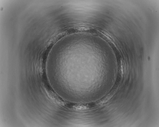 X0000086790512200704131243