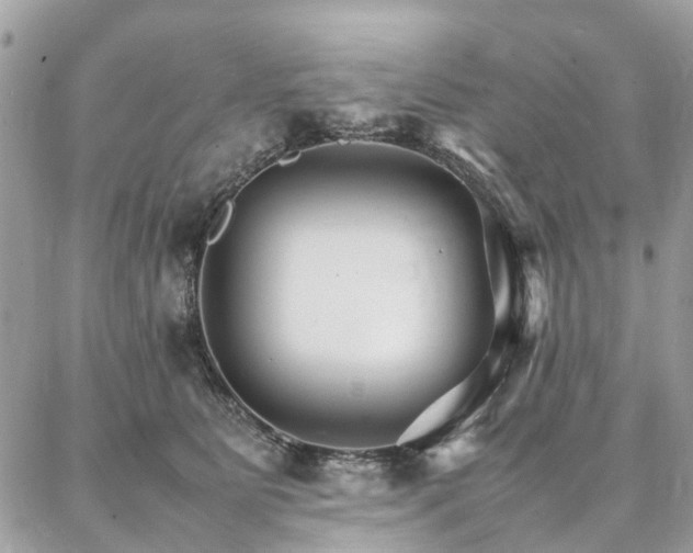 X0000086790515200704131243