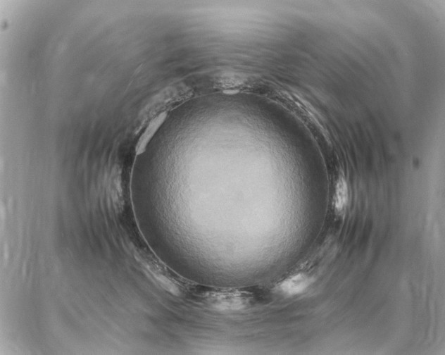 X0000086790524200704131243