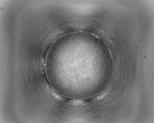 X0000086790528200704131243