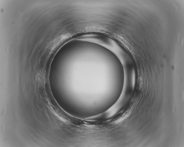 X0000086790530200704131242