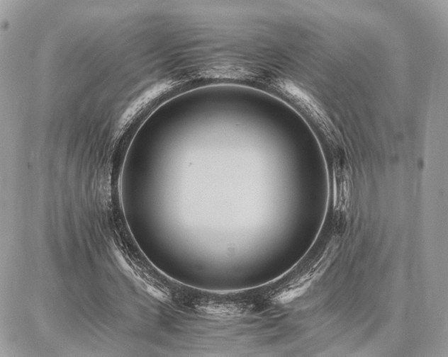 X0000086790531200704131242