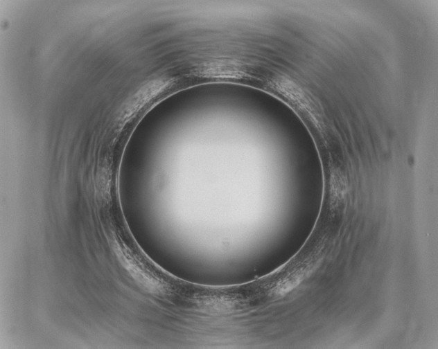 X0000086790533200704131242