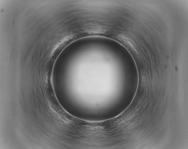 X0000086790539200704131242
