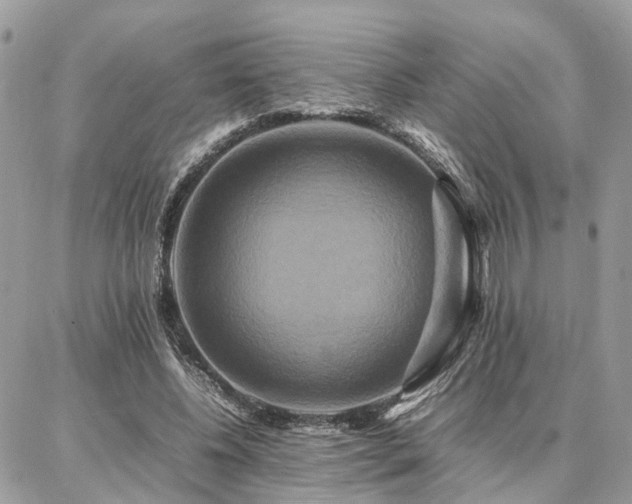 X0000086790540200704131242
