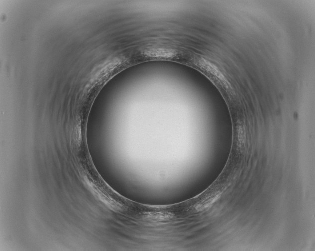 X0000086790541200704131242