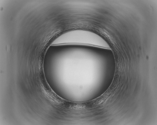 X0000086790546200704131243