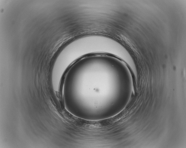 X0000086790548200704131243