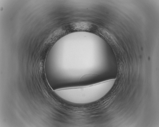 X0000086790551200704131243