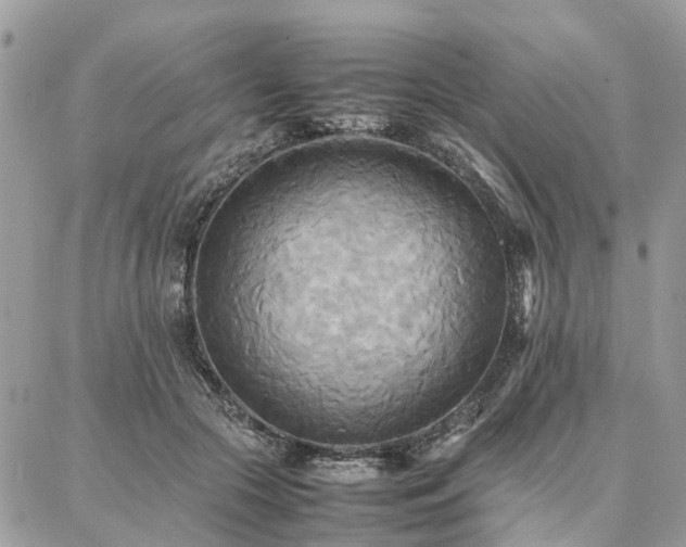 X0000086790553200704131243