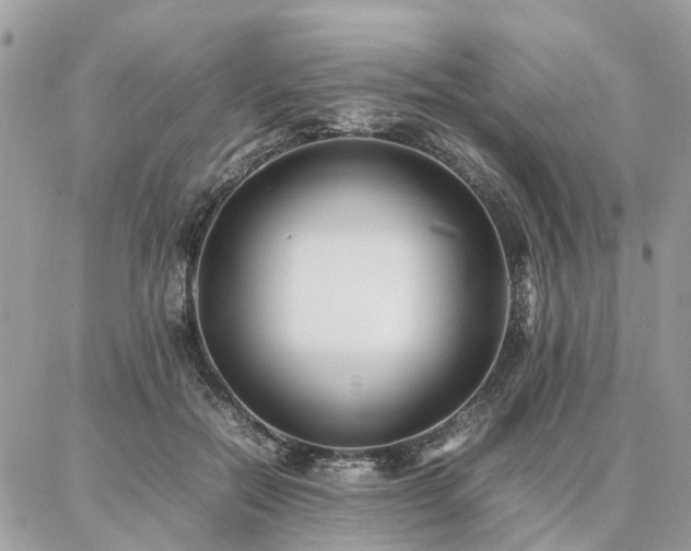 X0000086790554200704131243