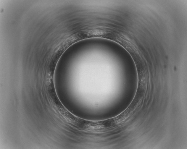 X0000086790555200704131243