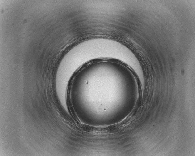 X0000086790556200704131243