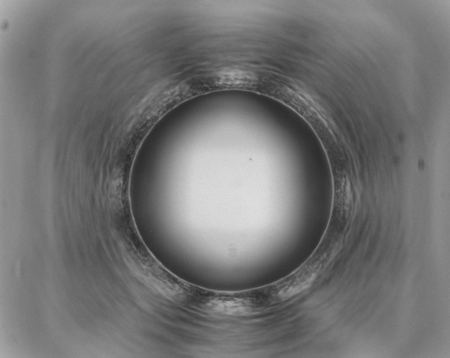 X0000086790557200704131243