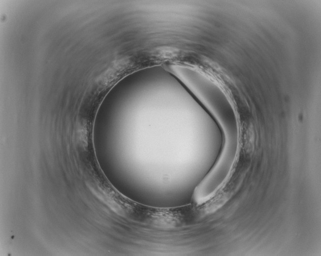 X0000086790562200704131243