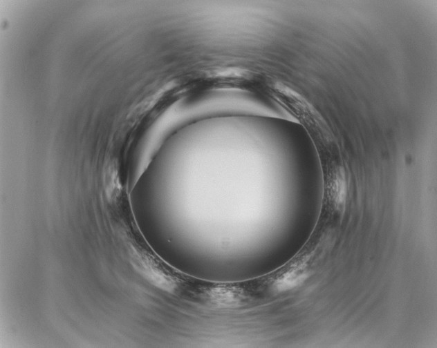 X0000086790566200704131243