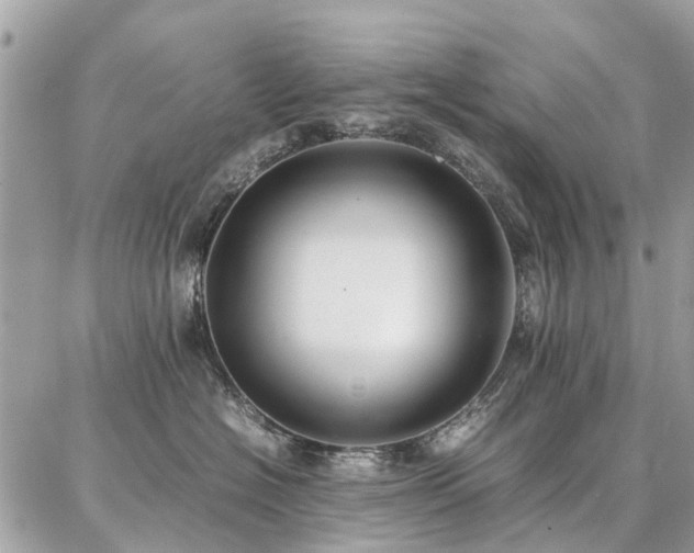 X0000086790574200704131243
