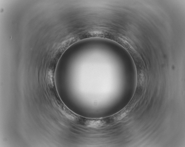 X0000086790575200704131243