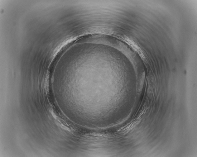 X0000086790580200704131242