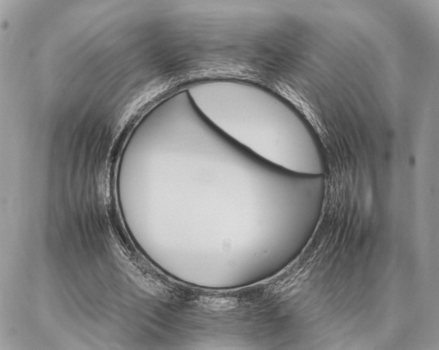 X0000086790582200704131242