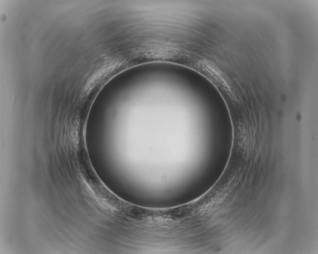 X0000086790586200704131242