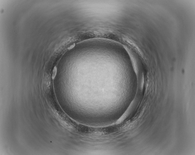 X0000086790593200704131242