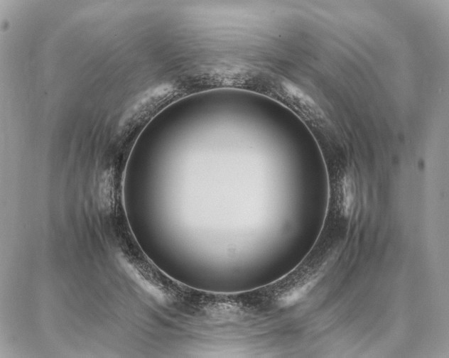 X0000086790594200704131242