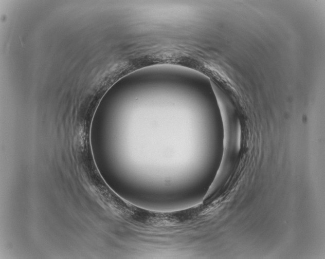 X0000086790597200704131242