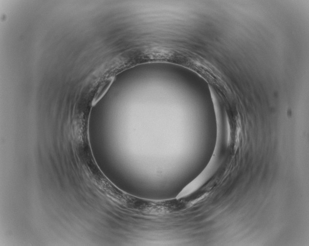 X0000086790604200704131242