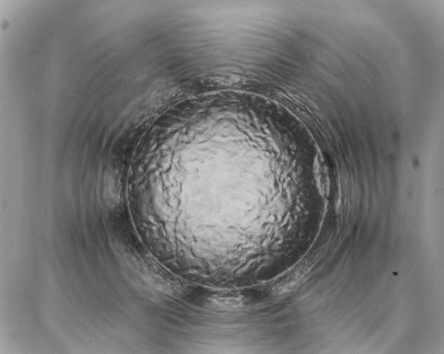 X0000086790606200704131242