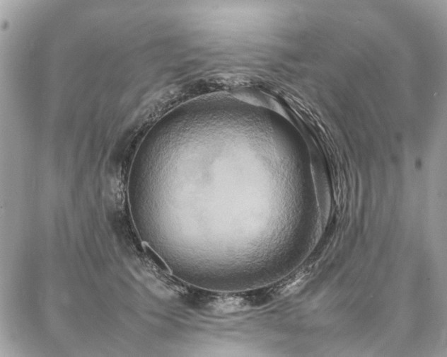 X0000086790609200704131242