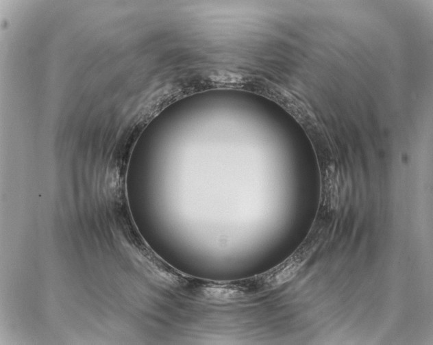X0000086790614200704131242