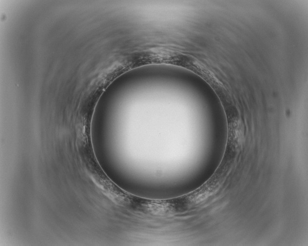 X0000086790615200704131242