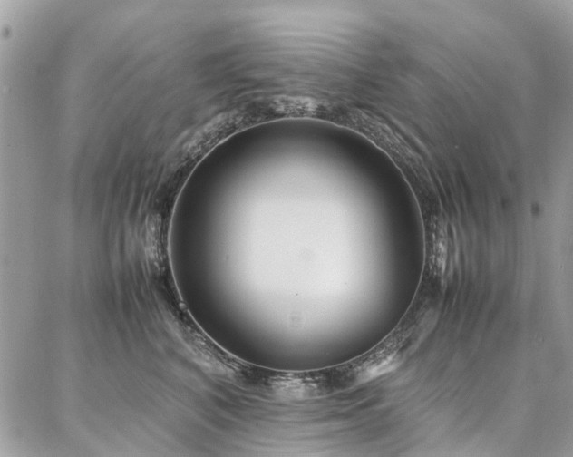 X0000086790616200704131242