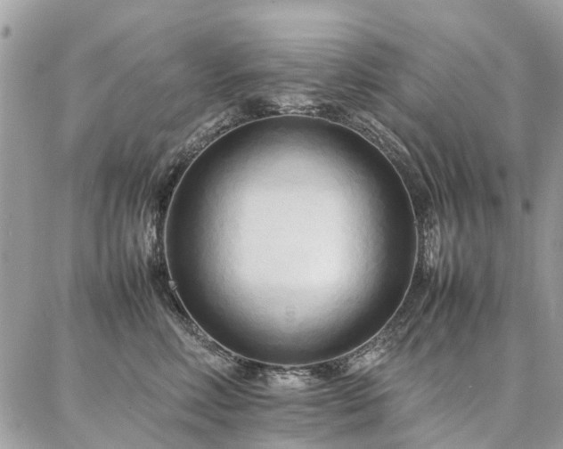 X0000086790618200704131242