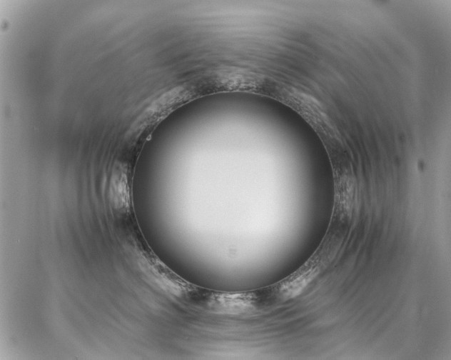 X0000086790622200704131242